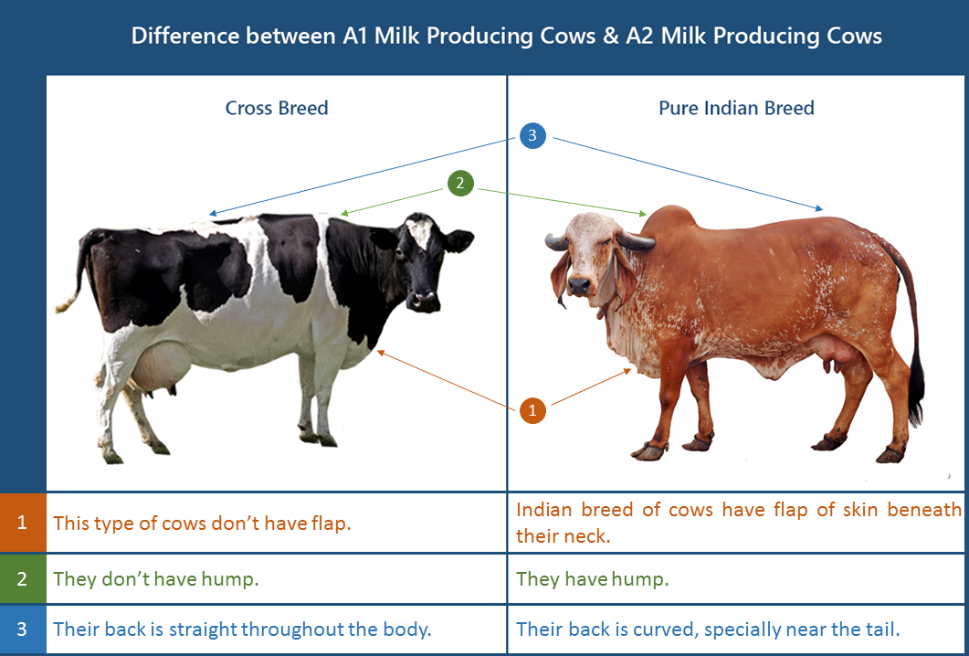 Shreshtha Farms A2 Milk
